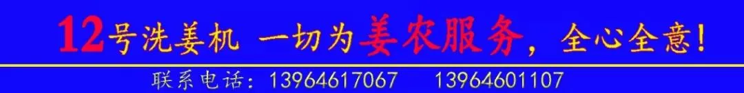 03月21日昌邑各市场生姜价格参考