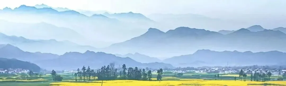 IP获客的双轨策略