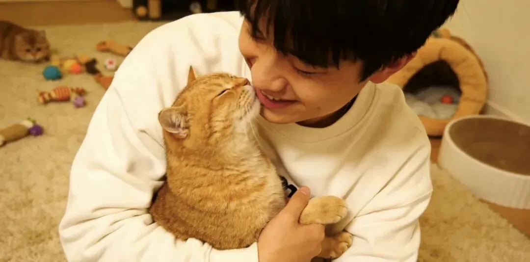 相亲市场的“猫系男”:为何养猫的男孩,多是回避型依恋?