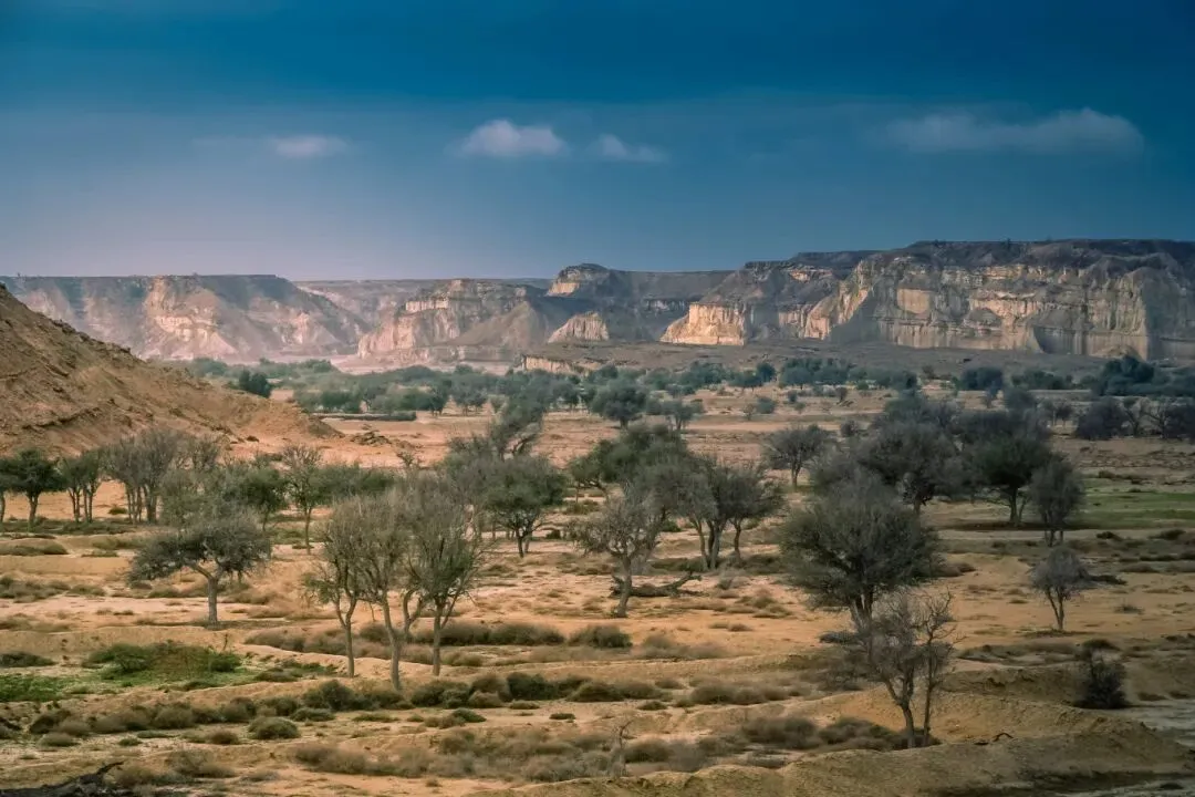 油价狂飙冲击纺织业,直击印度纺织原料市场真实变局
