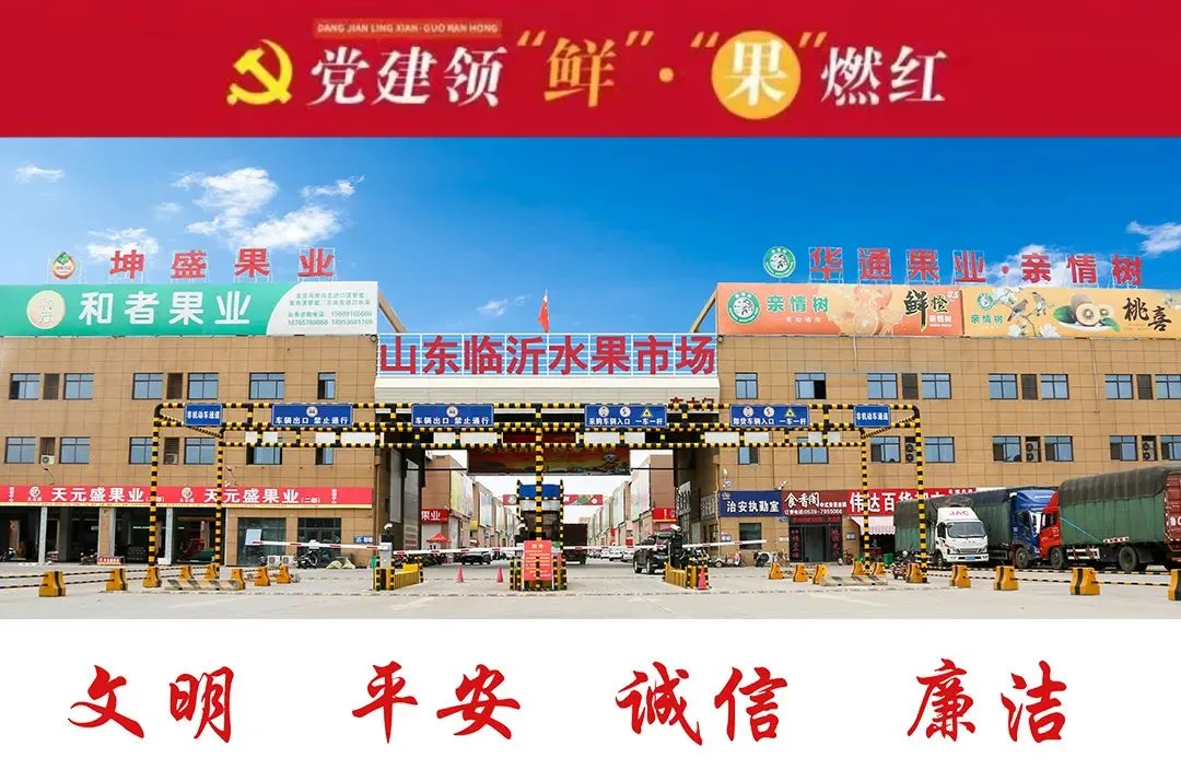 临沂水果市场农残检测结果公示2026.3.20