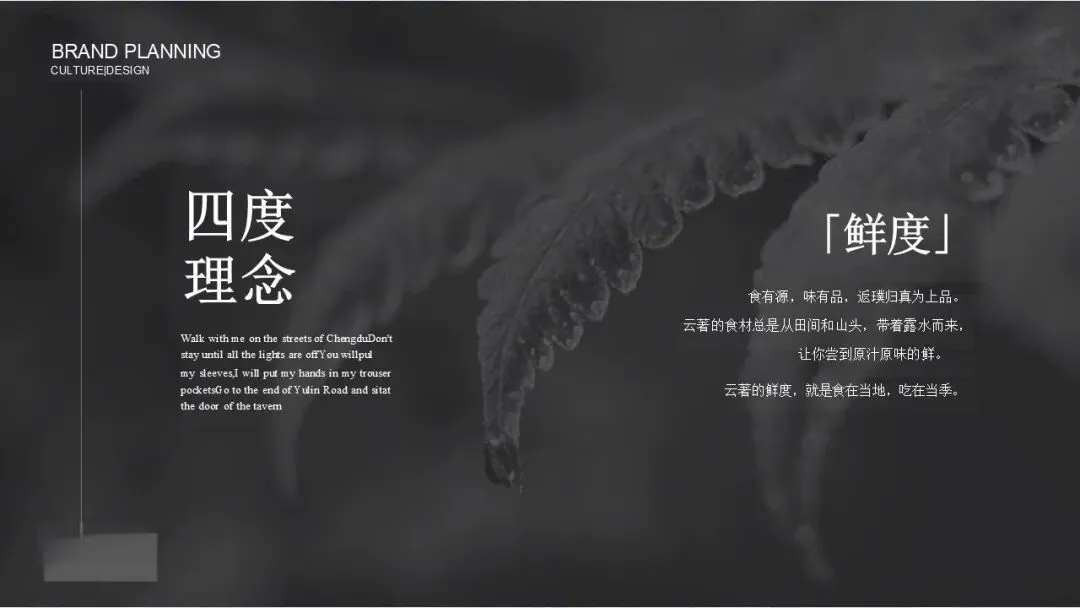 2025餐厅品牌运营营销推广全案【餐饮全案】【餐饮推广】