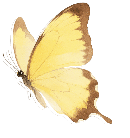 共话AI变迁,赋能营销新生|飞达广告AI实战赋能营销交流会圆满落幕!