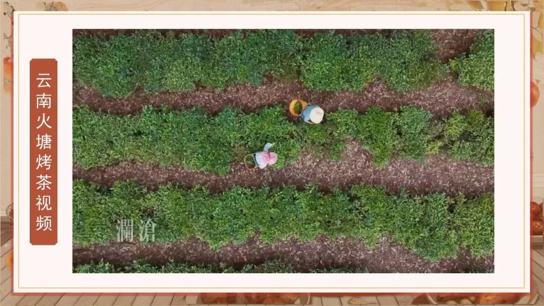 营销方案_春季围炉煮茶团建文娱活动方案(附下载)