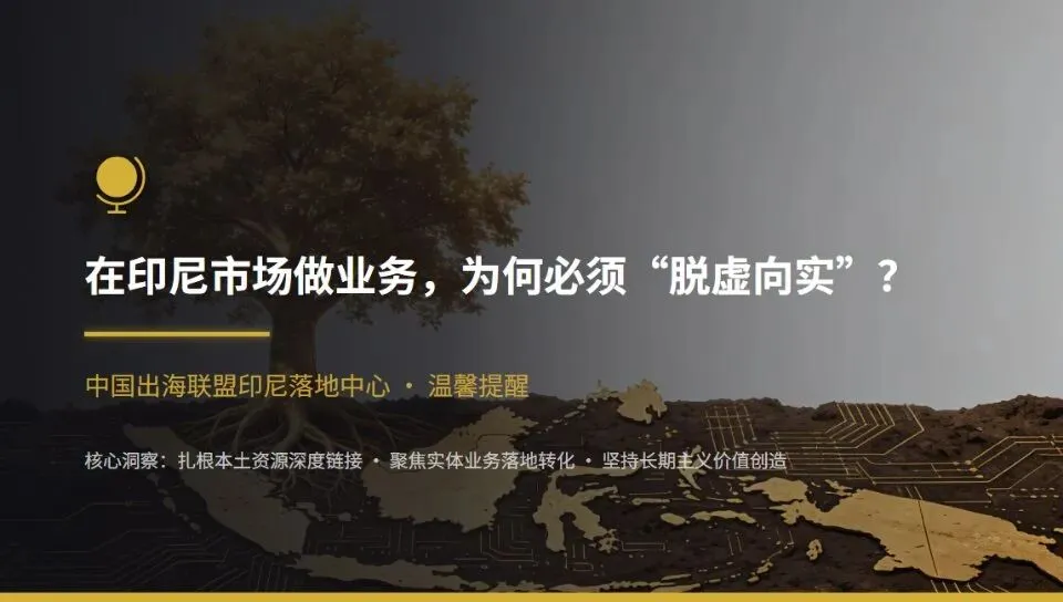 在印尼市场做业务,为何必须“脱虚向实”?