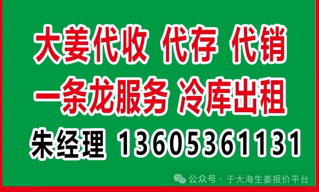 2026年3月21日昌邑洗姜市场,价格稳.