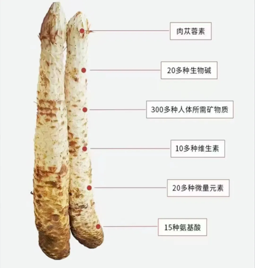 茅台不老酒肉苁蓉:一瓶“沙漠人参”的市场逻辑