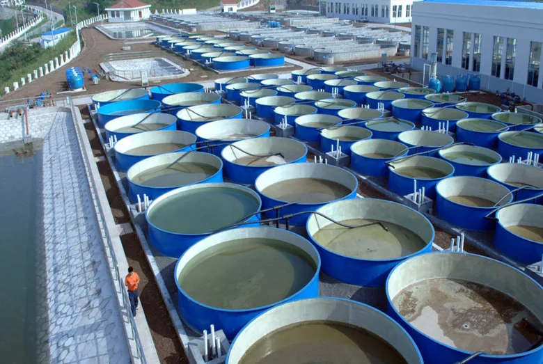 钛制海水养殖设备制造市场与投资前景分析报告编制