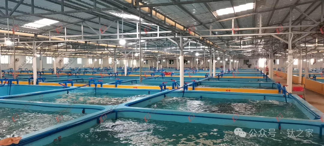 钛制海水养殖设备制造市场与投资前景分析报告编制