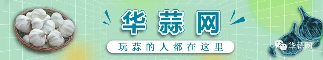 大蒜市场:买卖博弈,成交僵持