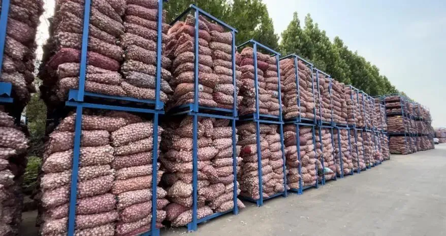 大蒜市场:买卖博弈,成交僵持