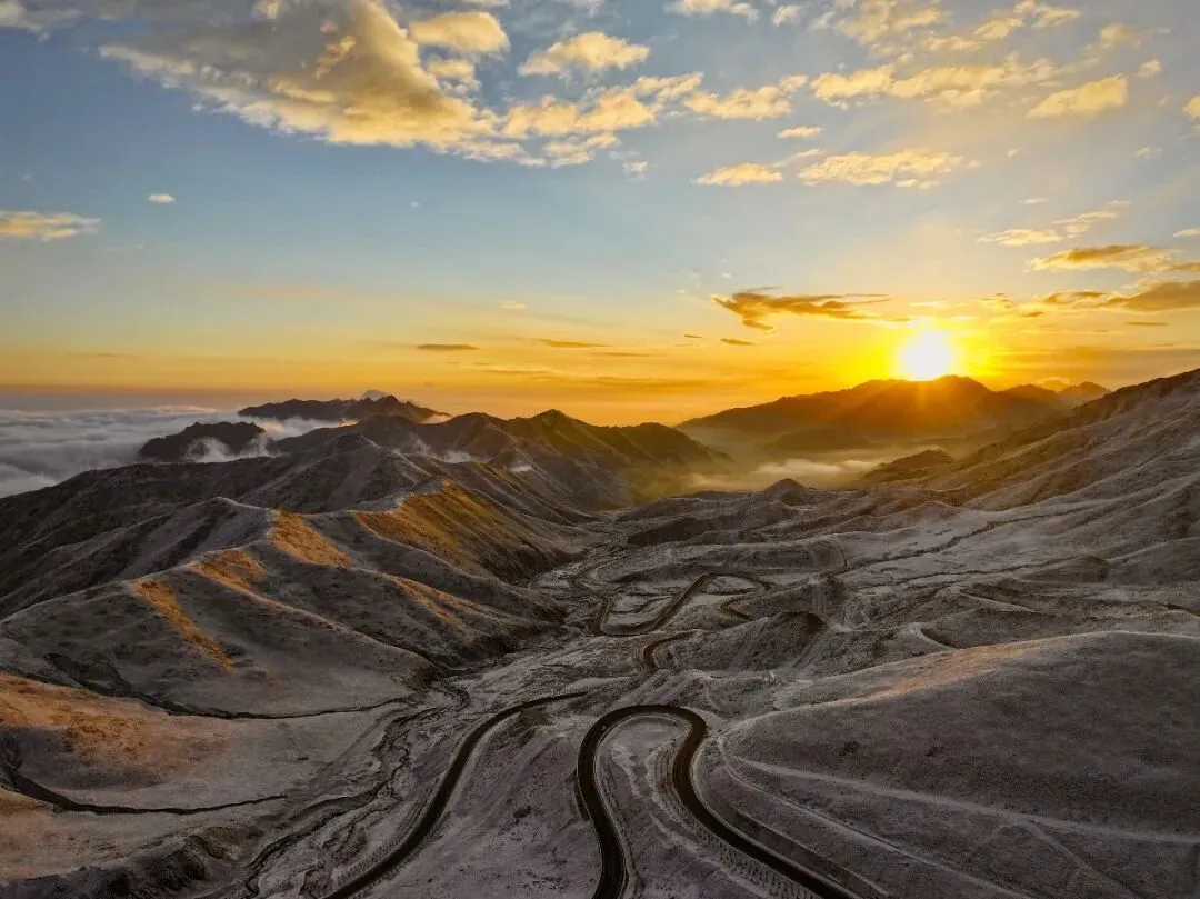 不媚市场,只守茶心