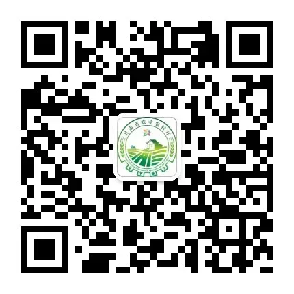 “甘味”香飘拓市场