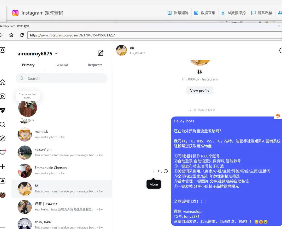 做巴西市场 使用ins群发获客系统 找当地网红博主 推广游戏slot