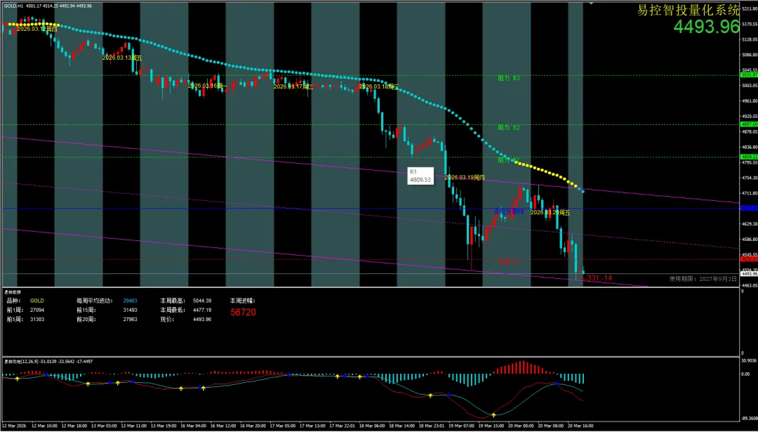 白天上班的人,反而更容易在黄金市场活下来