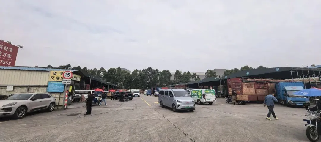 2026年3月 21 日 【东莞信立市场鸡蛋报价】 感谢关注公众号