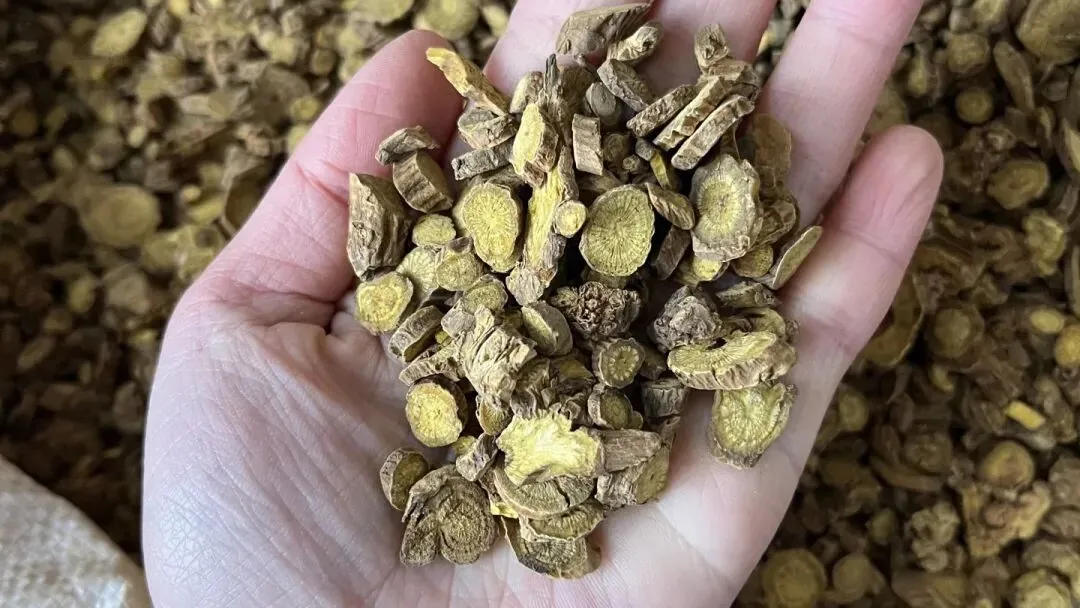 突发!今日药材市场惊现三匹“黑马”,价格飙升引关注!