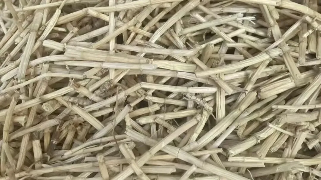 突发!今日药材市场惊现三匹“黑马”,价格飙升引关注!