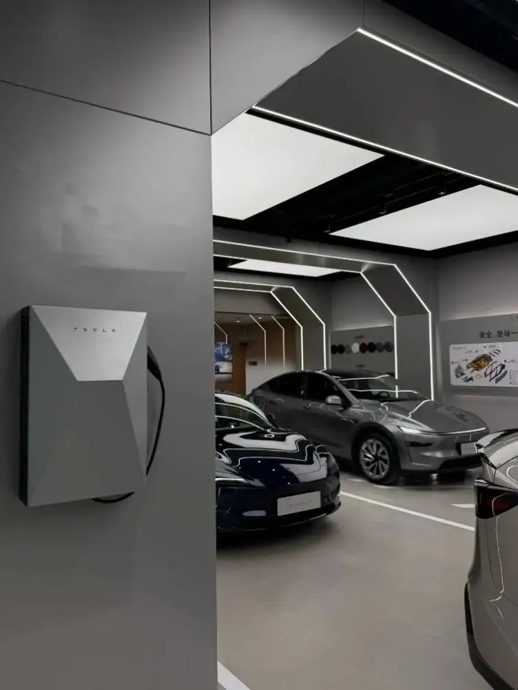 新能源消费市场“开门红”:能源转型下的消费韧性与信心