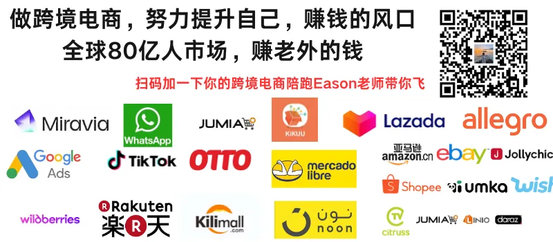 Temu 的全球化发展历程与市场规模剖析