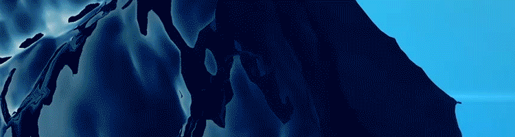 焕新前行 共赴星程|星鲨维生素D营销升级暨全国经销商峰会圆满举办