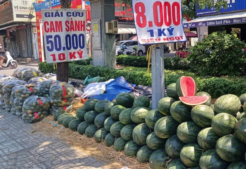 越南西瓜、柑橘跌至1毛钱/斤,市场需求疲软,果农损失惨重