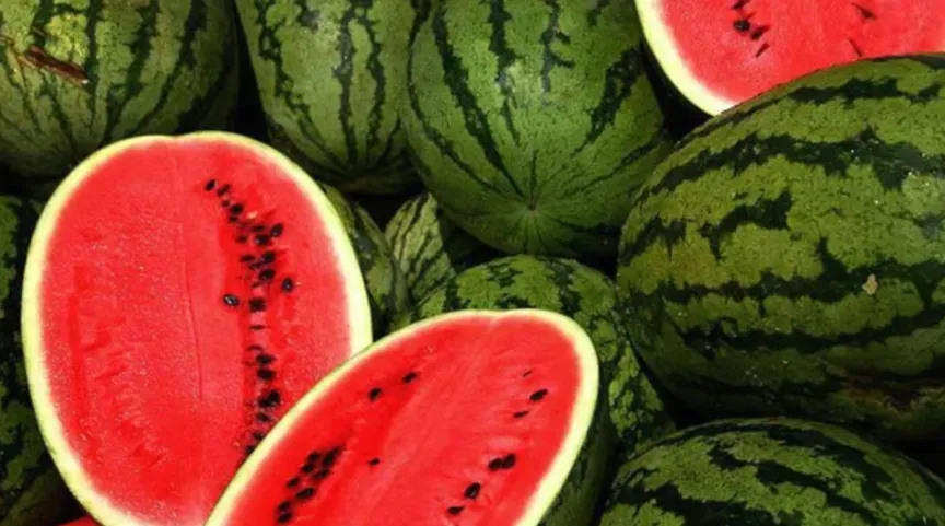 越南西瓜、柑橘跌至1毛钱/斤,市场需求疲软,果农损失惨重