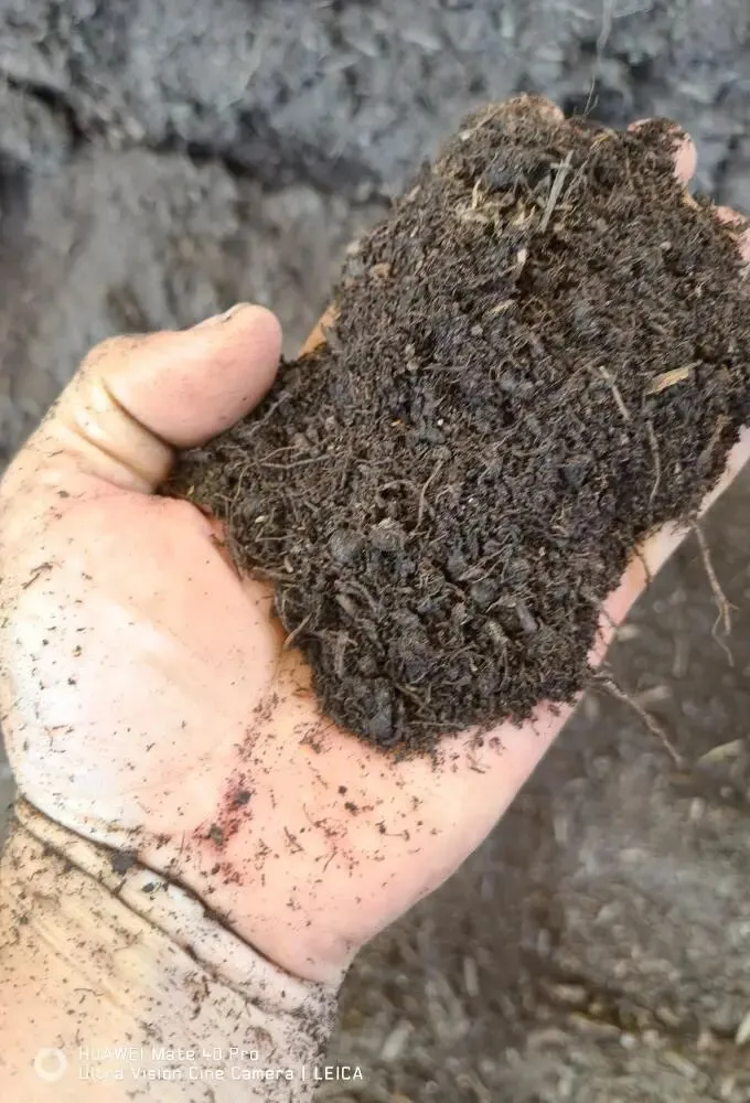 广州养花土怎么选?工厂直供vs市场散货,差距竟然这么大