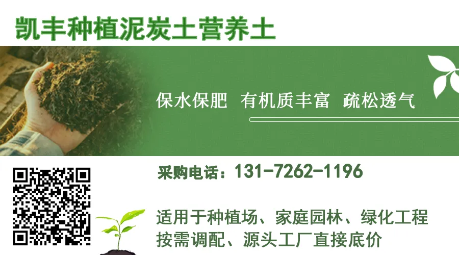 广州养花土怎么选?工厂直供vs市场散货,差距竟然这么大