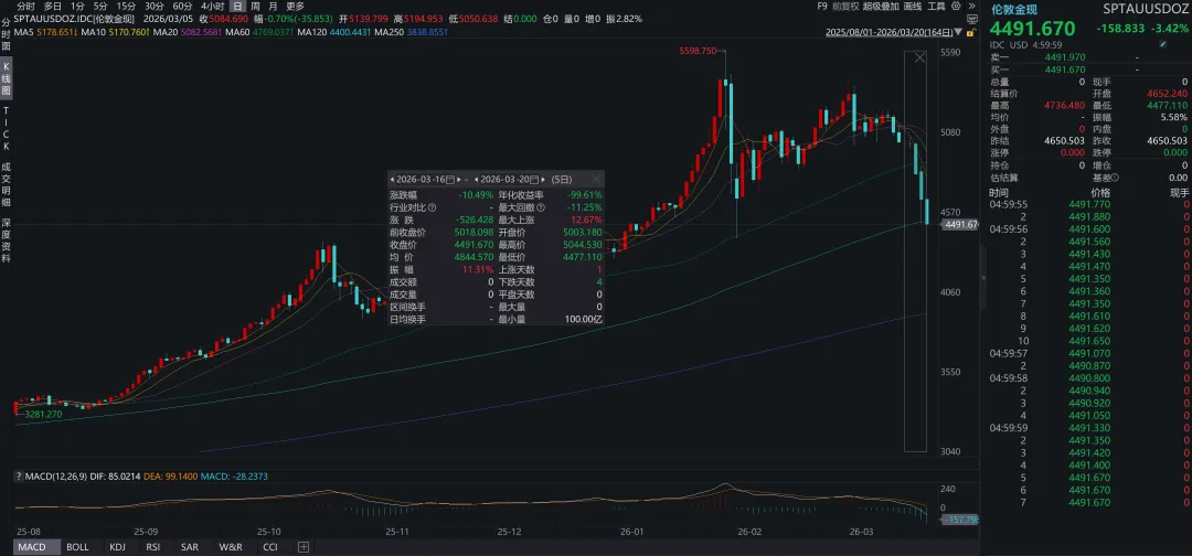 关于实际利率冲击和全球金融市场展望
