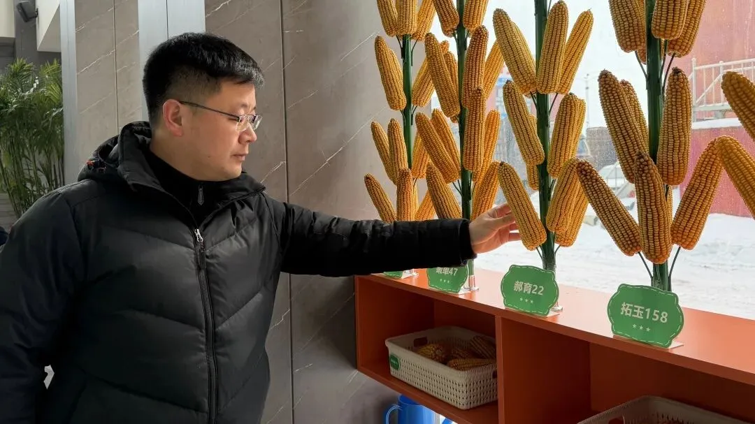 策马扬鞭拓市场 区域作战赢先机丨中垦种业挂图作战跑出市场攻坚“加速度”