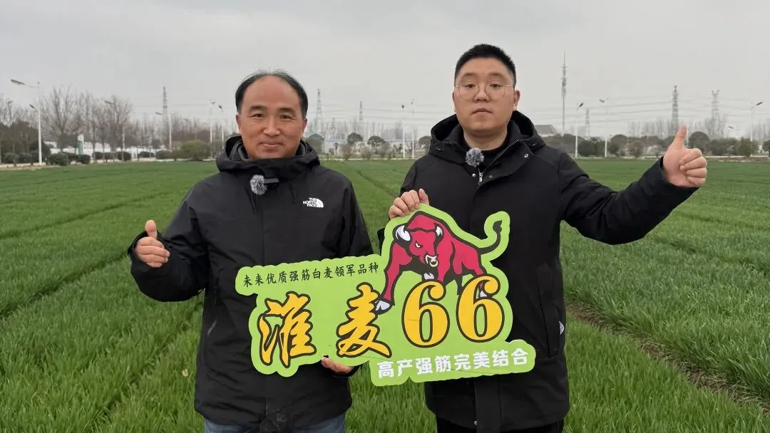 策马扬鞭拓市场 区域作战赢先机丨中垦种业挂图作战跑出市场攻坚“加速度”