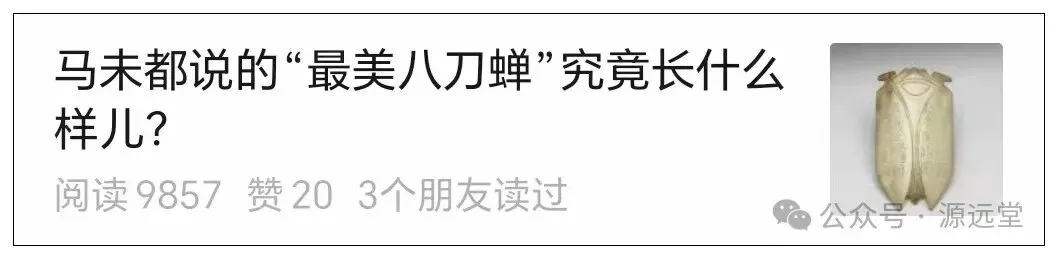 再游保定古玩市场有意外收获