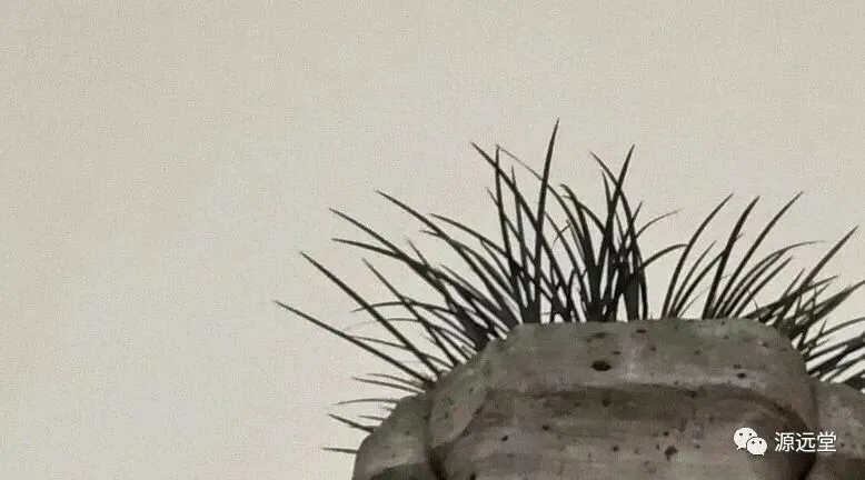 再游保定古玩市场有意外收获