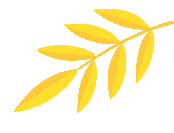 以志愿微光,绘校园新颜 | 市场营销2401班开展校园清扫志愿服务活动