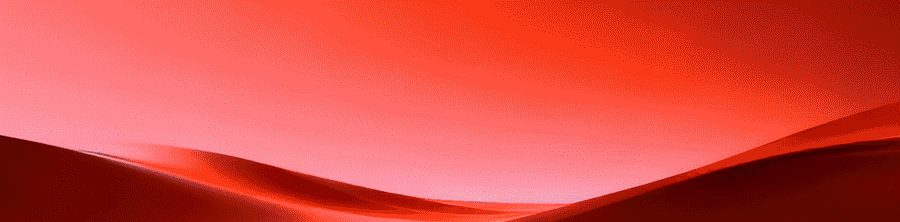 首衡高碑店市场2025年度商户表彰大会隆重召开 米亚林董事长发表讲话