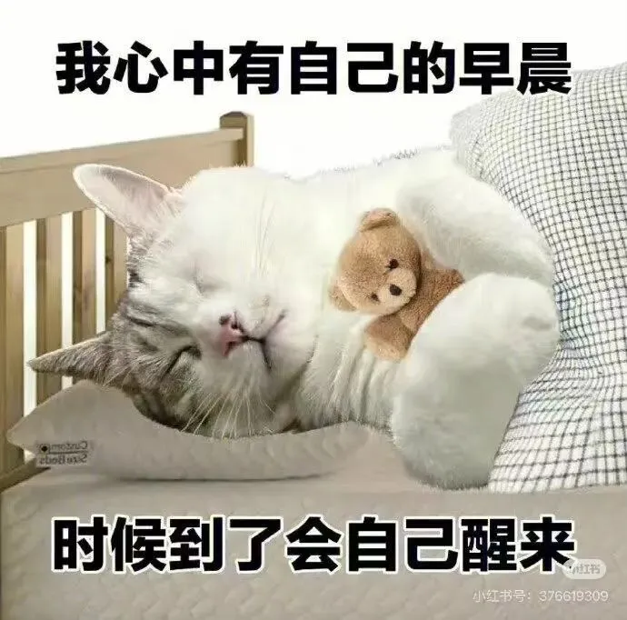 2026大专大数据科学专业就业市场竞争激烈吗?