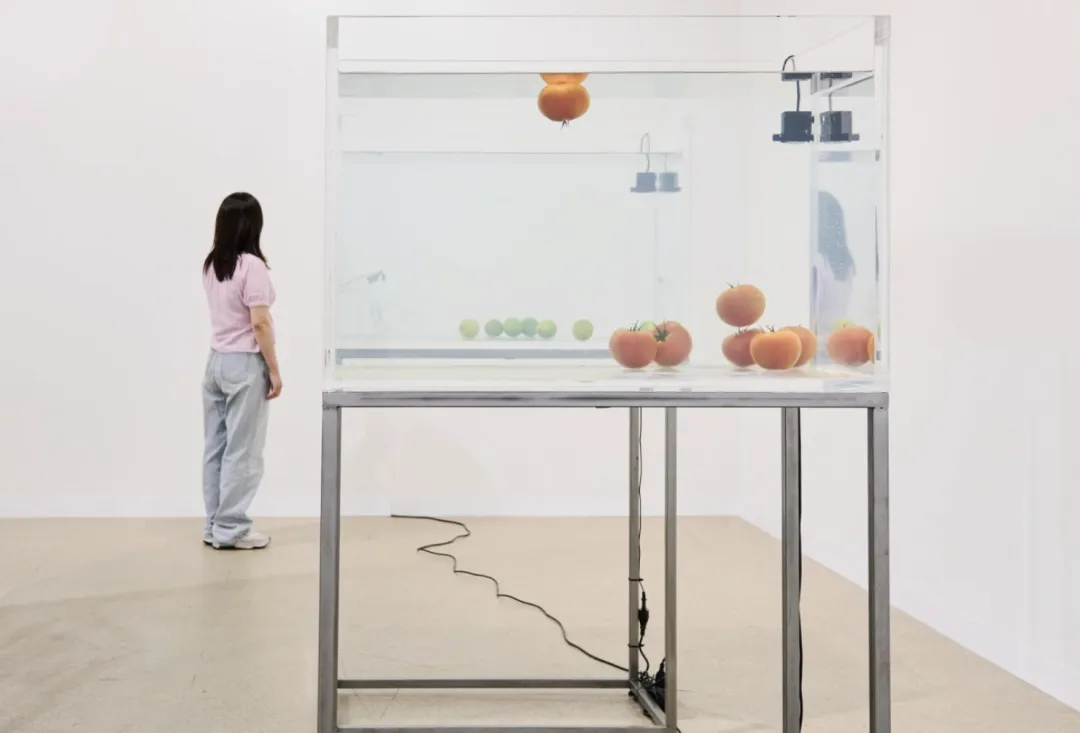 全球艺术市场的“温和复苏”与结构性调整