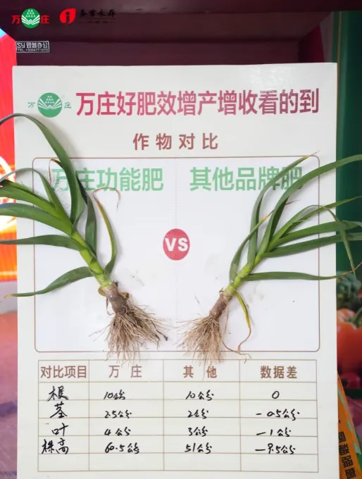 特肥体验营销的核心:不是 “服务好”,而是让用户 “看得见效果”