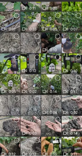 特肥体验营销的核心:不是 “服务好”,而是让用户 “看得见效果”