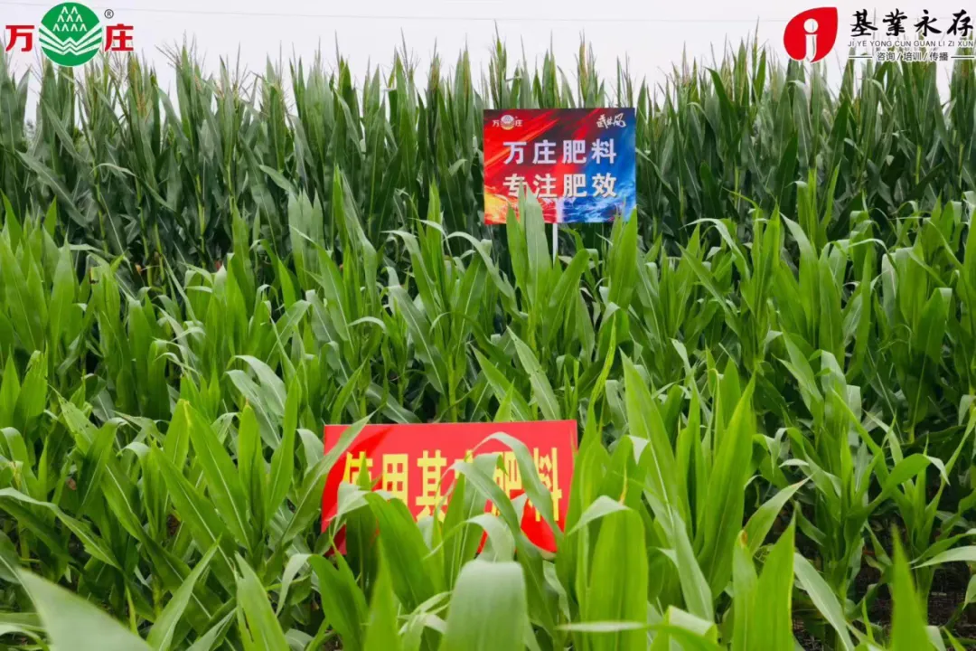 特肥体验营销的核心:不是 “服务好”,而是让用户 “看得见效果”