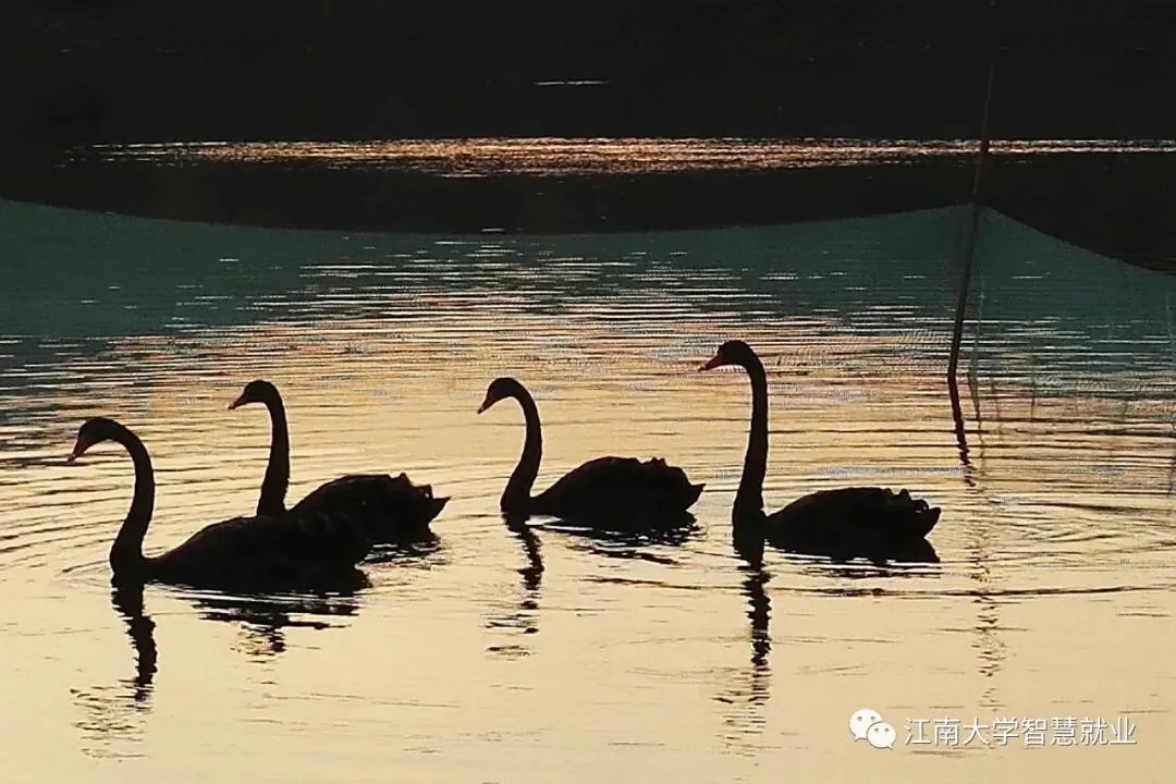 【招聘】得益乳业:营销类、牧业类、生产类等岗位招聘