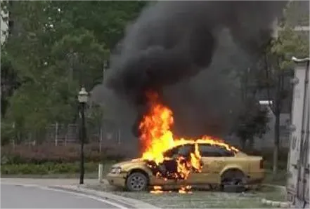 文明停车,你我都是参与者 | 浦城农贸市场、商场、医院周边规范停车指南请查收→