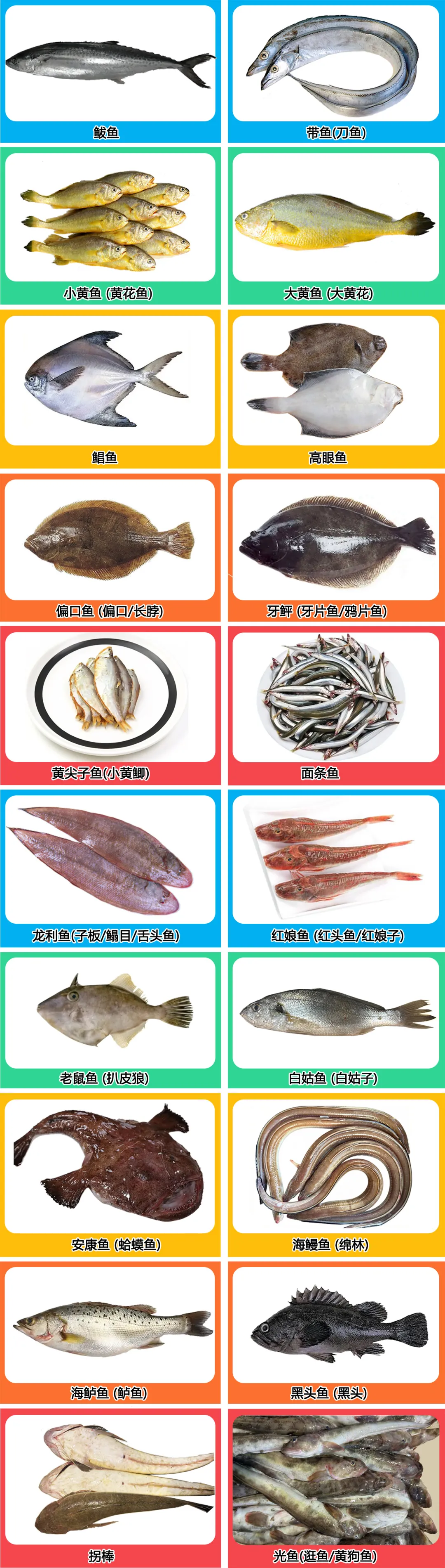 每次去市场都不认识鱼?我整理了20种日照海鱼图鉴