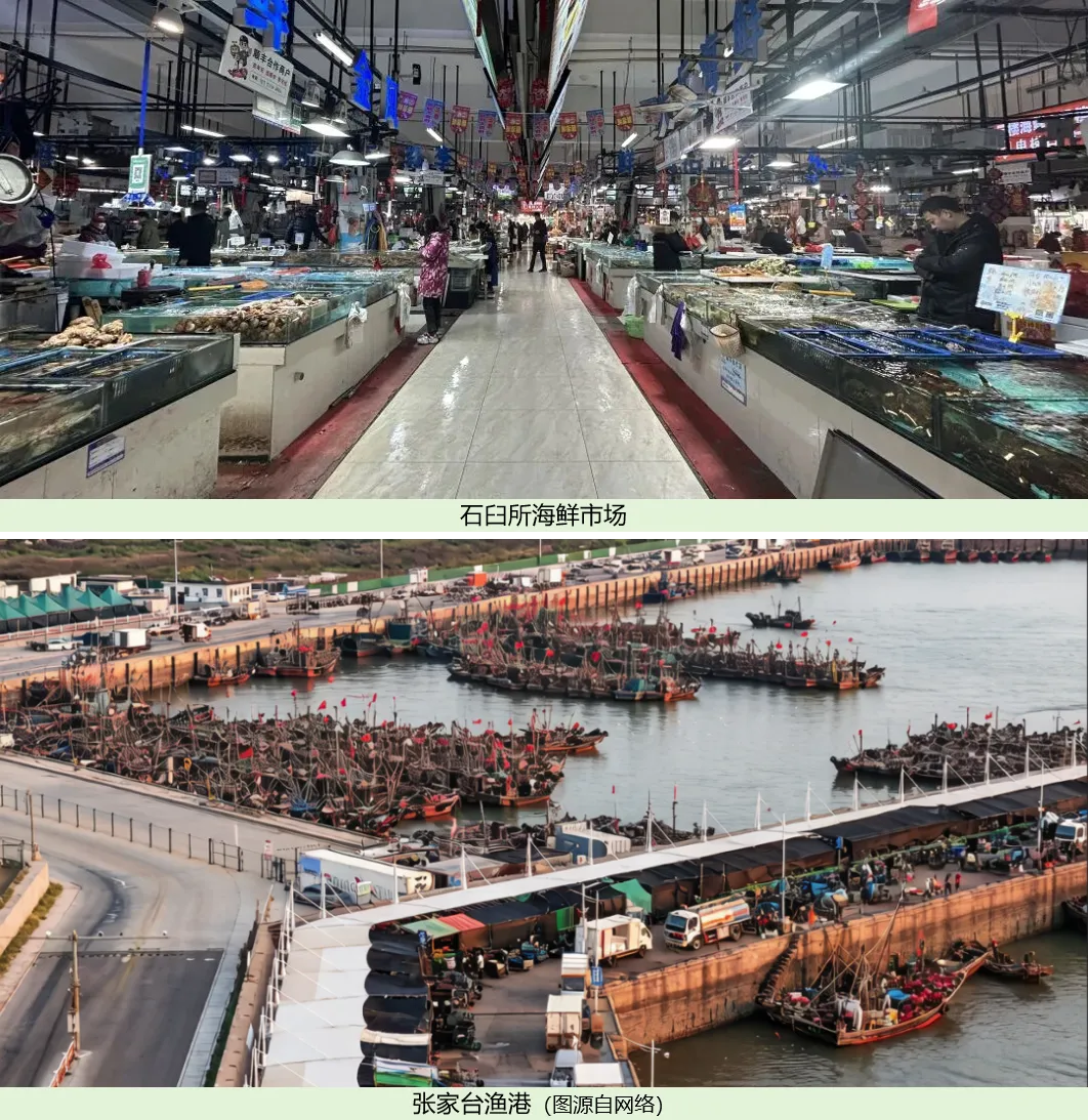 每次去市场都不认识鱼?我整理了20种日照海鱼图鉴