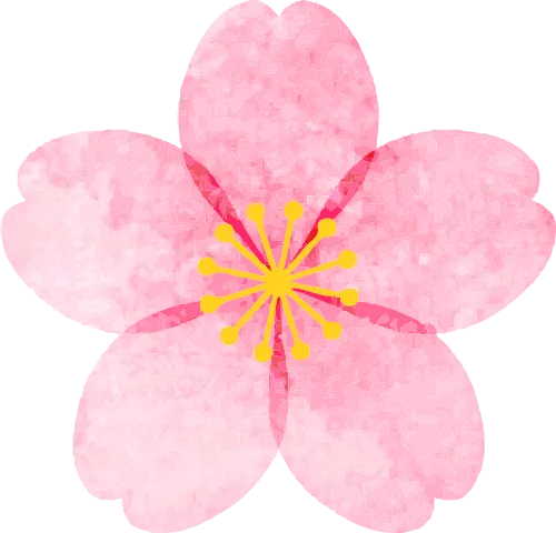 财商闯关嗨不停! 选址、定价、营销三连击——西南财经大学齐鲁“经”彩实践队活动纪实 (六)