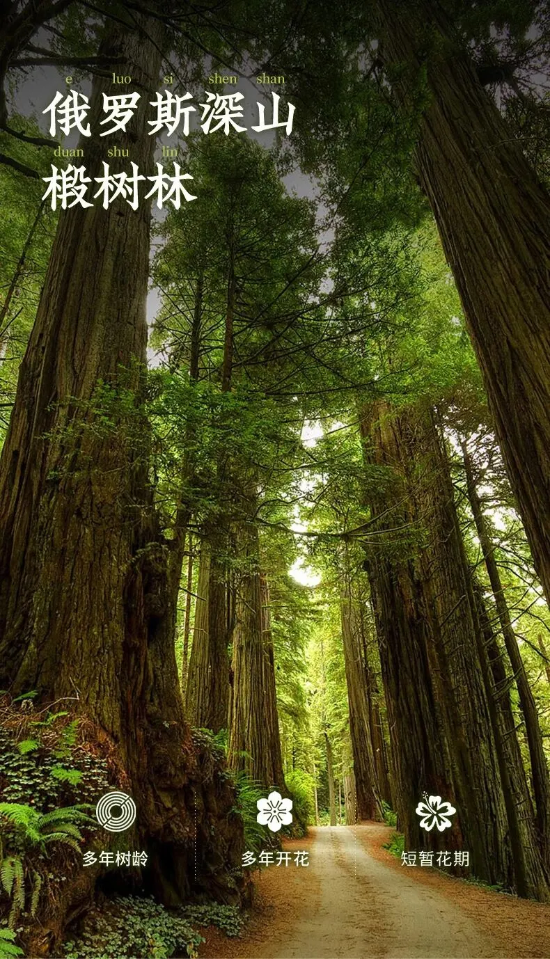 俄罗斯进口蜂蜜抢占中国市场,其实大多数人都买错了…