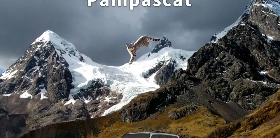 三菱帕杰罗:12次达喀尔冠军,却在中国市场悄然谢幕,谁杀死了越野之王?