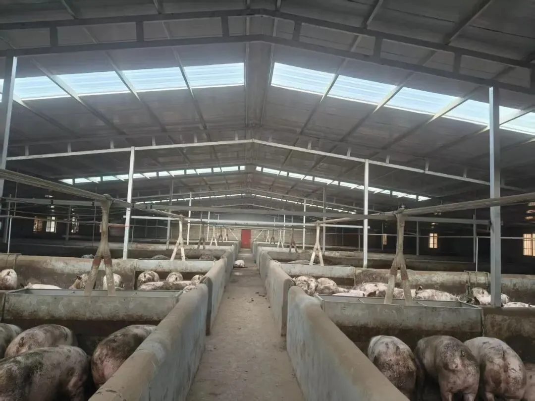 峨山零工市场3月21日岗位 点击领取