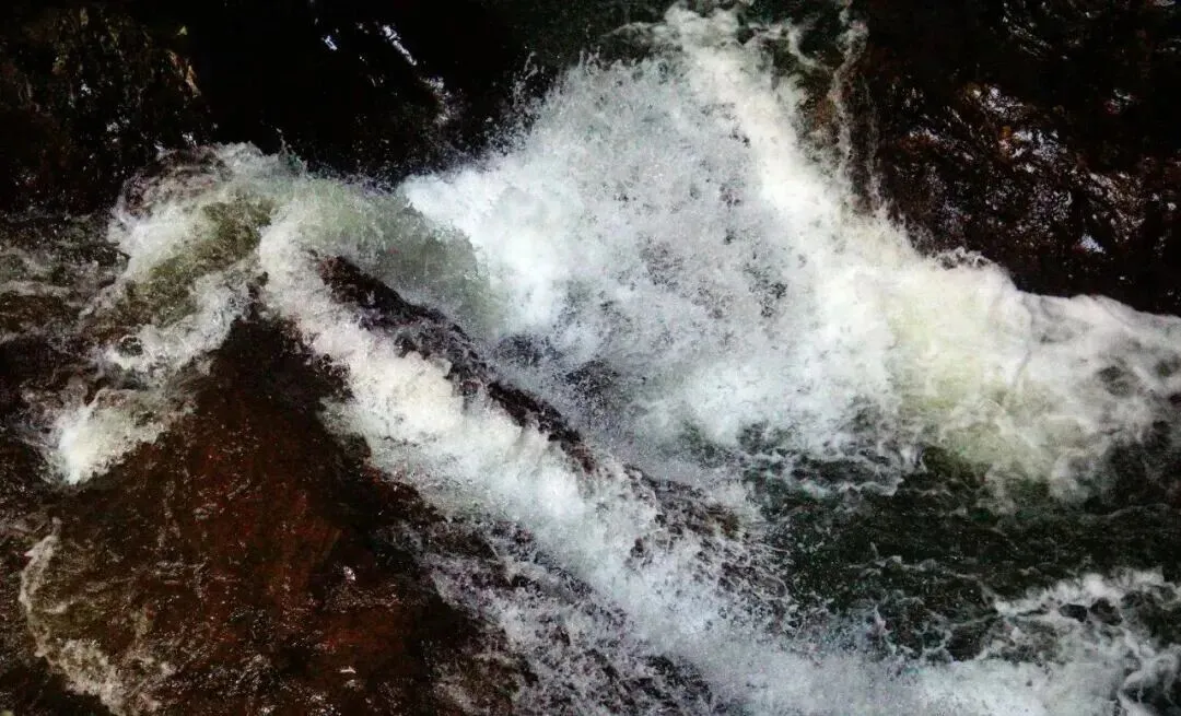 减重市场 | 专利到期,印度50家仿制药降价超50%提前抢占市场